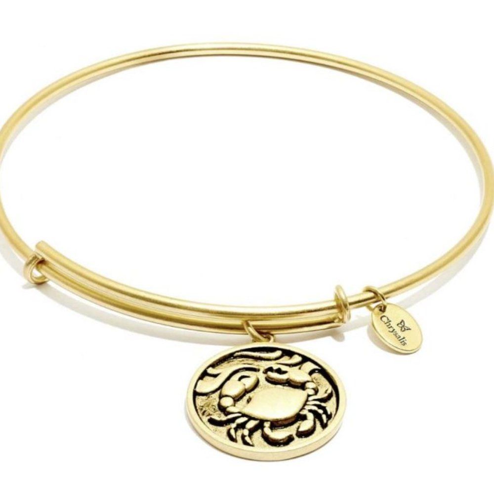 Chrysalis Crab Expandable Gold Stackable Bangle Nwt Oceania Collection